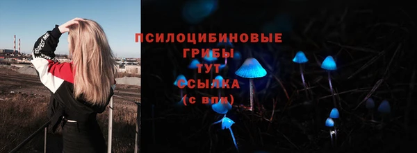 амфетамин Алексин