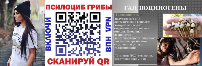 дарнет шоп  KRAKEN онион  Галлюциногенные грибы Magic Shrooms  Александровск-Сахалинский 